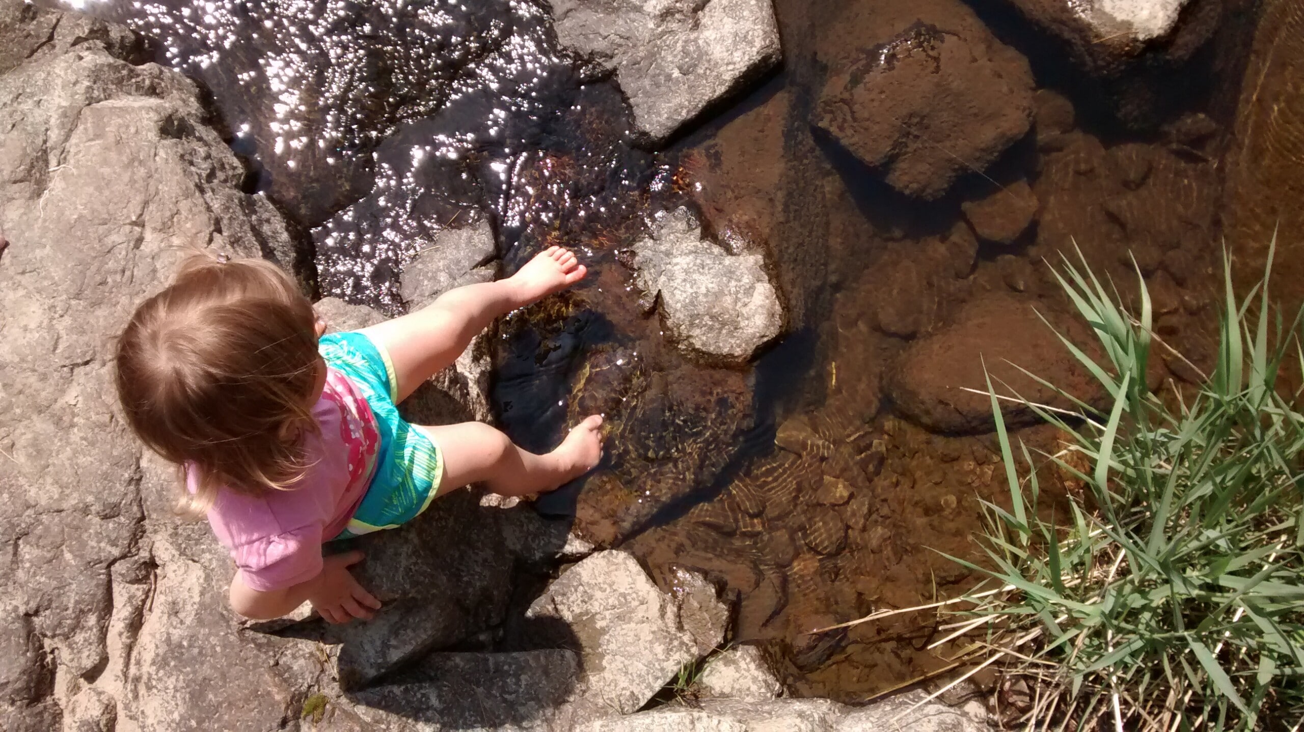 IMG_20160529_143925339