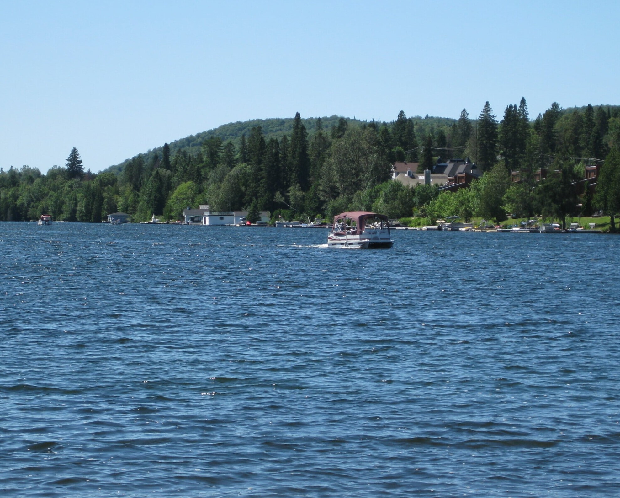 Ponton