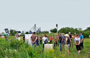 ruisseaux vases_mod Visite de la ferme Céréales Bellevue